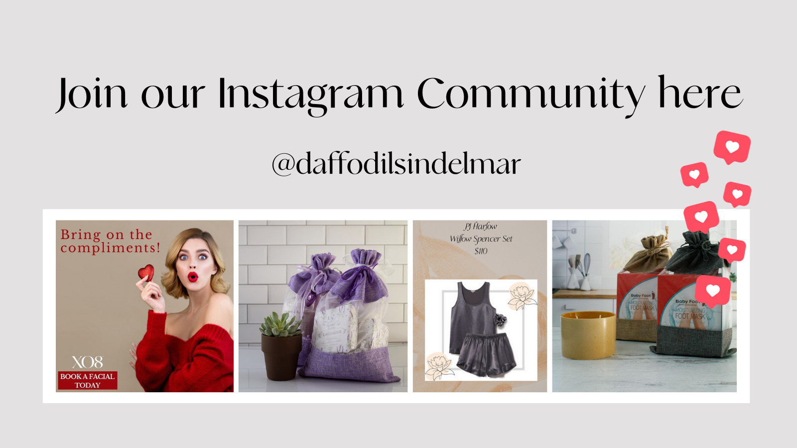 Join our Instagram Community | Daffodils in Del Mar | Gift Basket Boutique | San Diego, CA